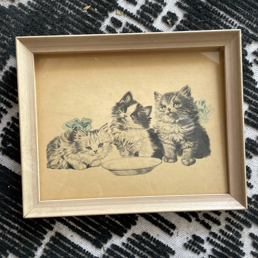Meta Pluckebaum Kitten Etching